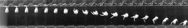 Marey - Cat Falling - Turning Over 2