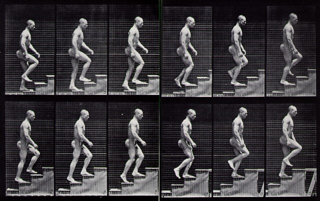 Muybridge - Man Climbing Stairs 1884