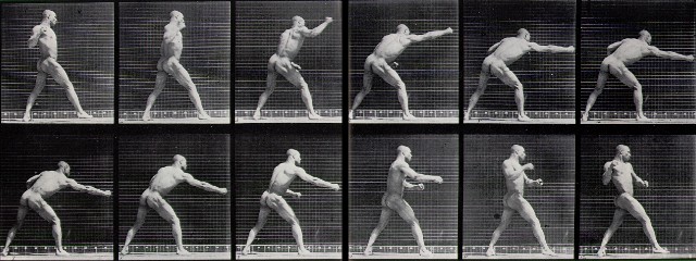 Muybridge - Man Throwing Blow 1884