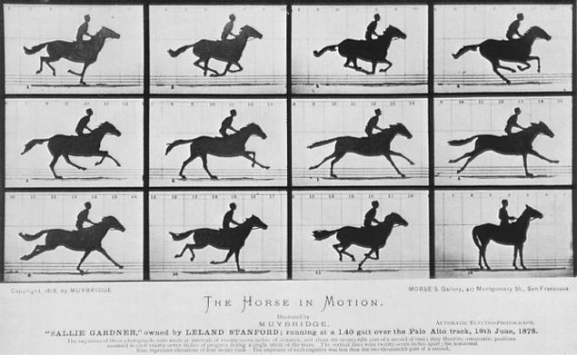 Muybridge - Horse In Motion 1878