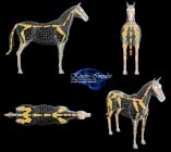 Horse_MoCap_Wireframe_Mesh
